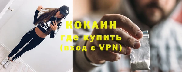 шишки Сатка
