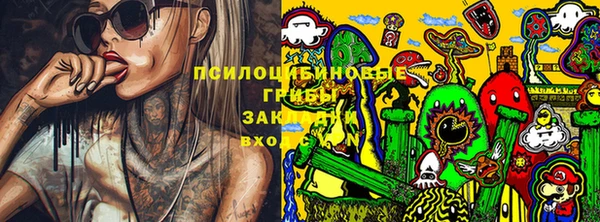 стафф Алзамай