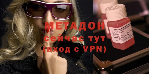 шишки Сатка